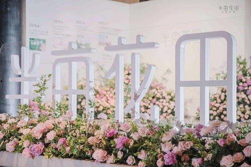 爆料半亩花田视频大全集,揭秘美丽秘诀与护肤心得  第1张