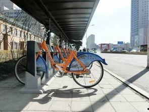 长春自行车爆料最新消息,揭秘城市绿色出行新动态  第2张